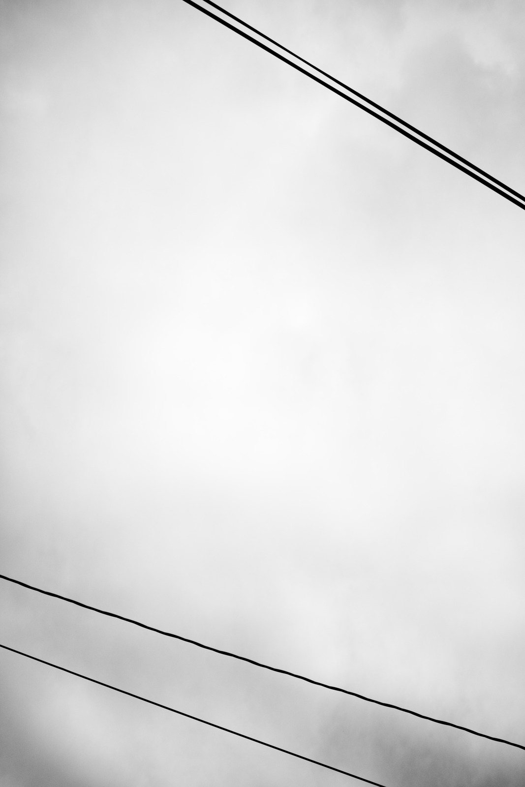 Lines Against a Gloomy Sky