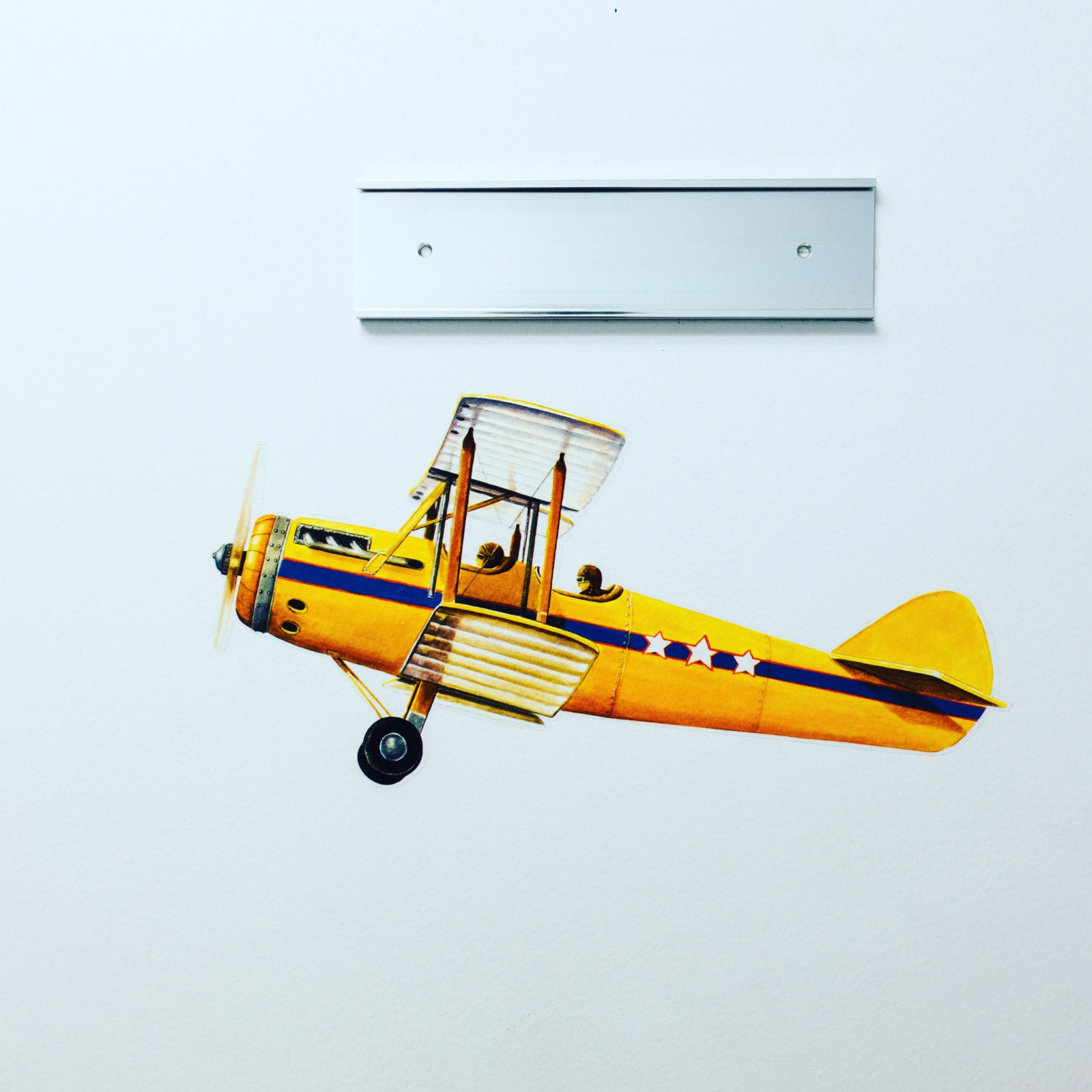 Joyful Aerial Adventure