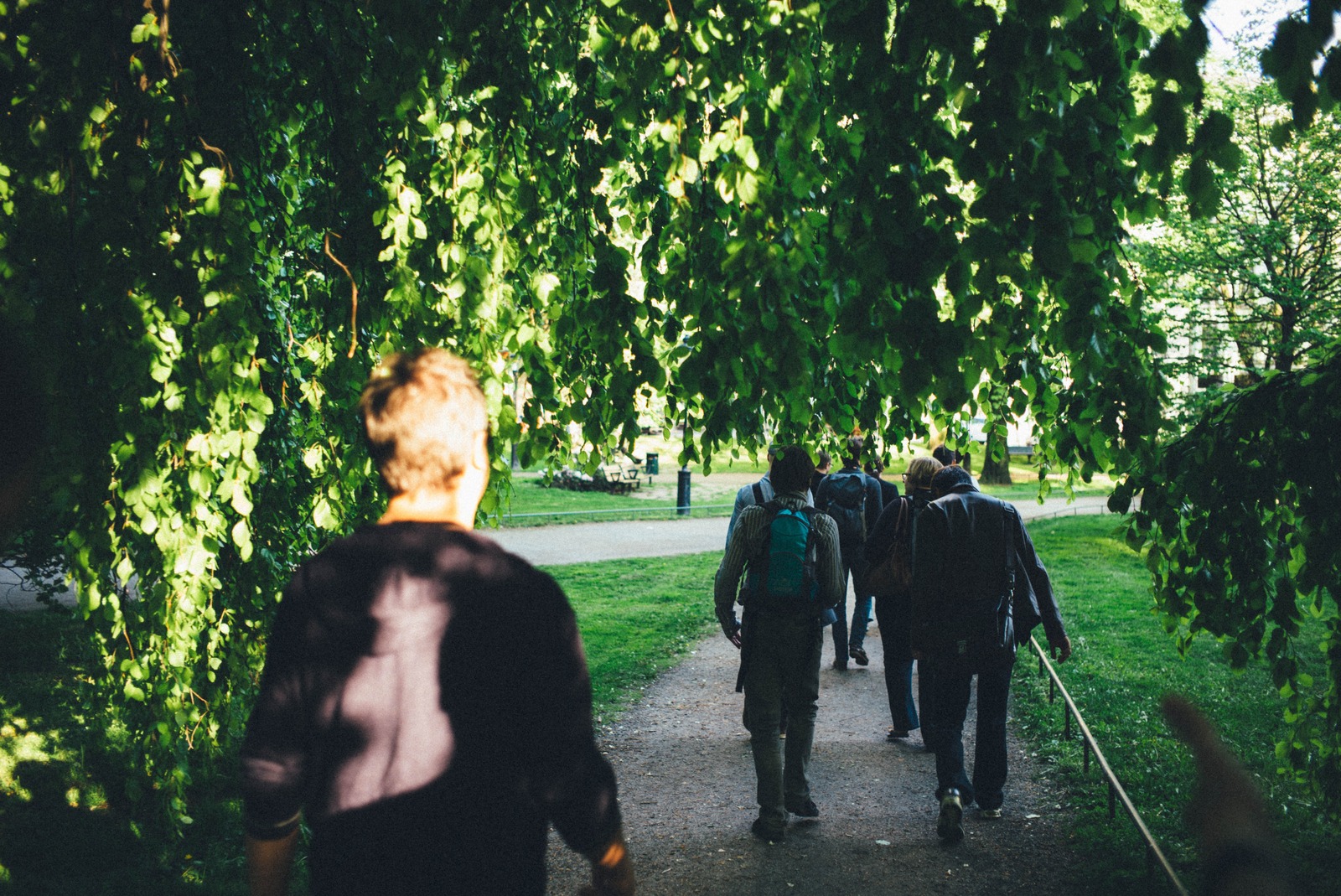 Pathway Through Greenery