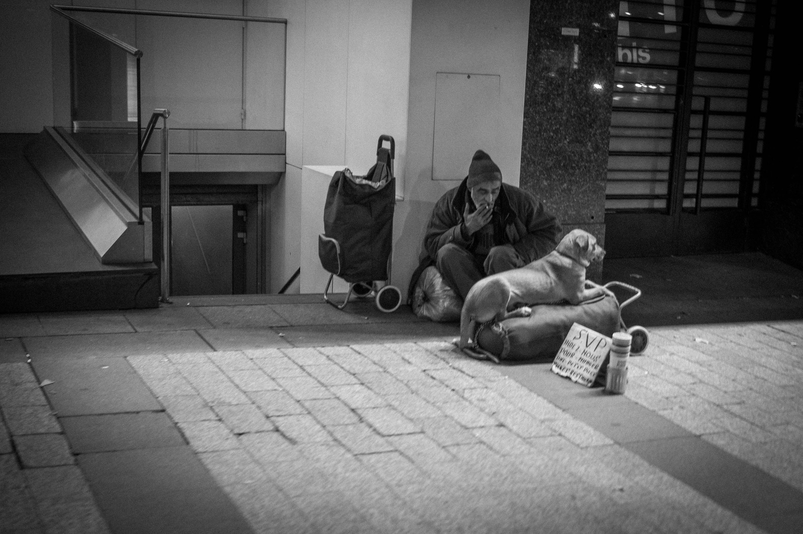 Silent Companionship