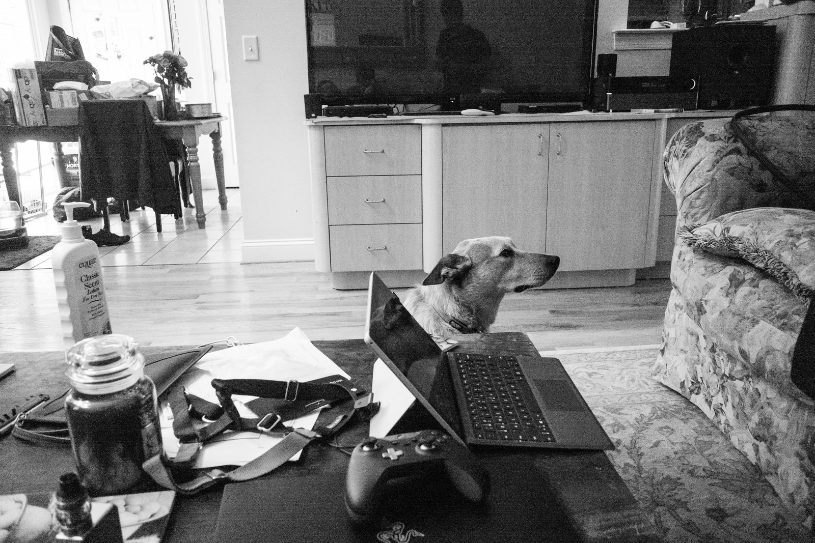 Quiet Evening at Home