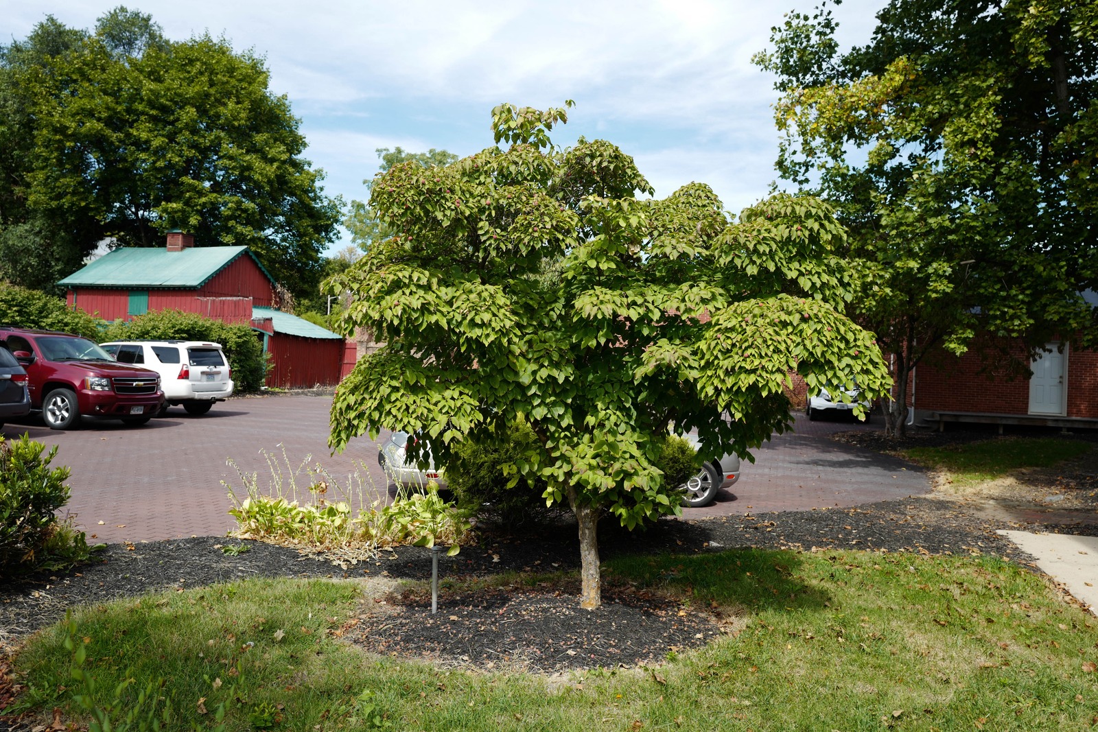 A Serene Parking Lot Retreat