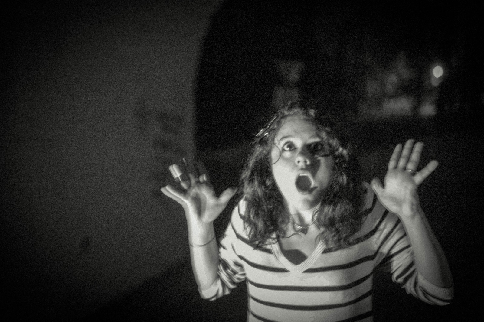 Capturing Fear in Shadows