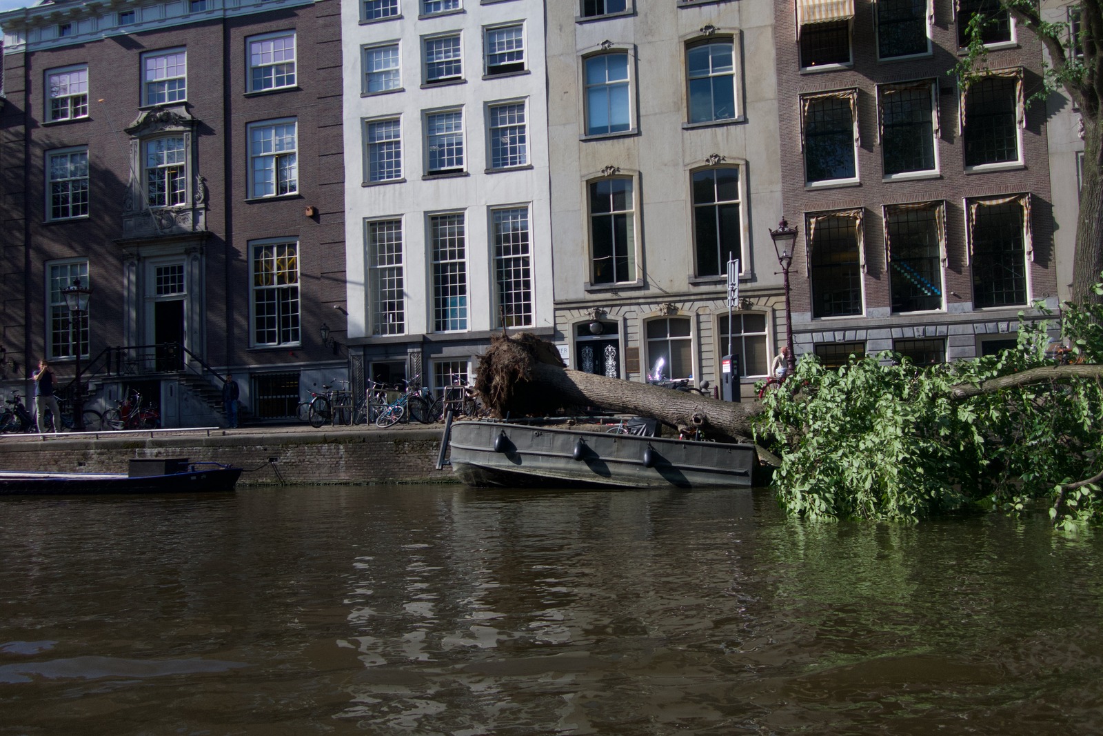 Aftermath of Nature's Wrath