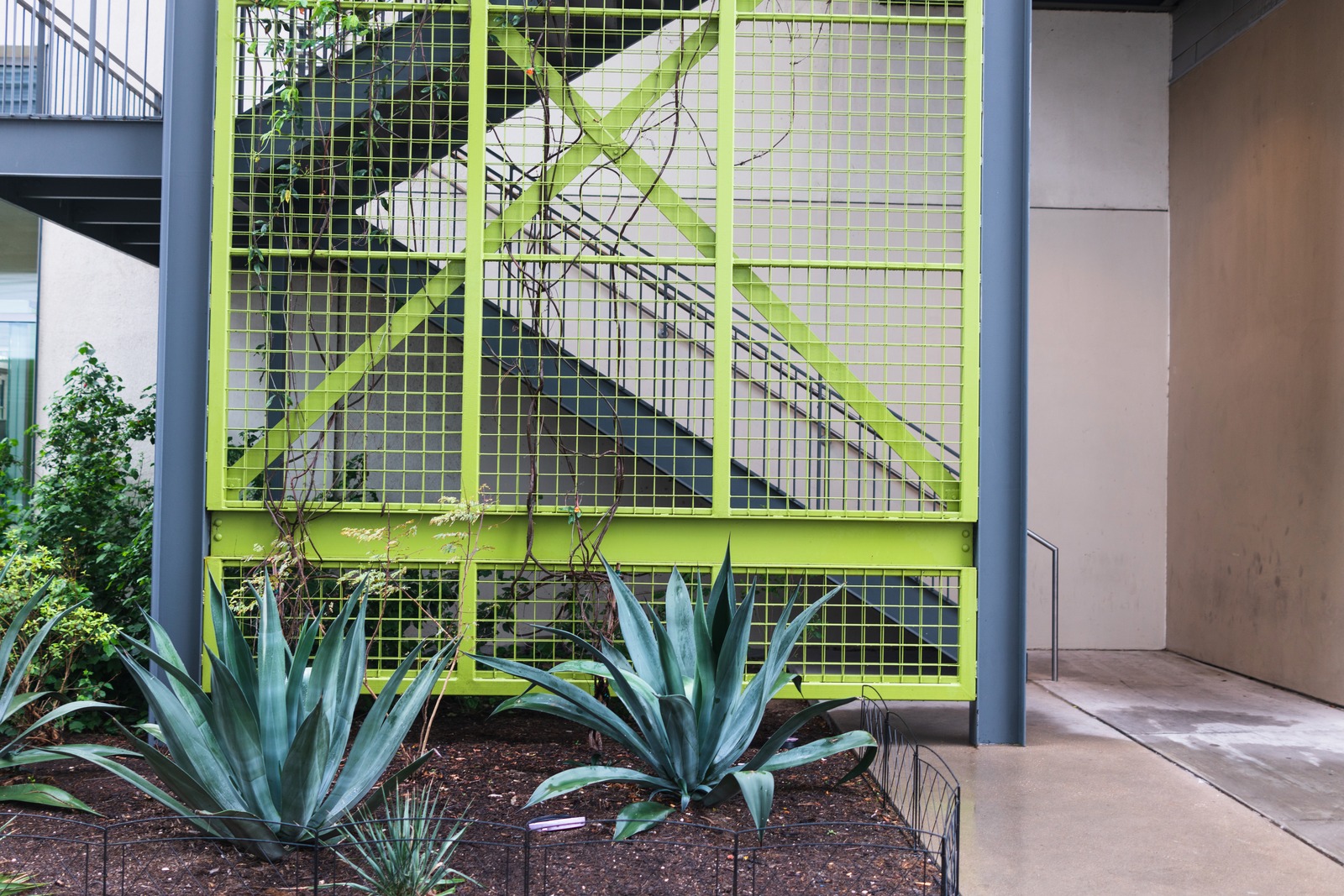 Urban Greenery and Structure