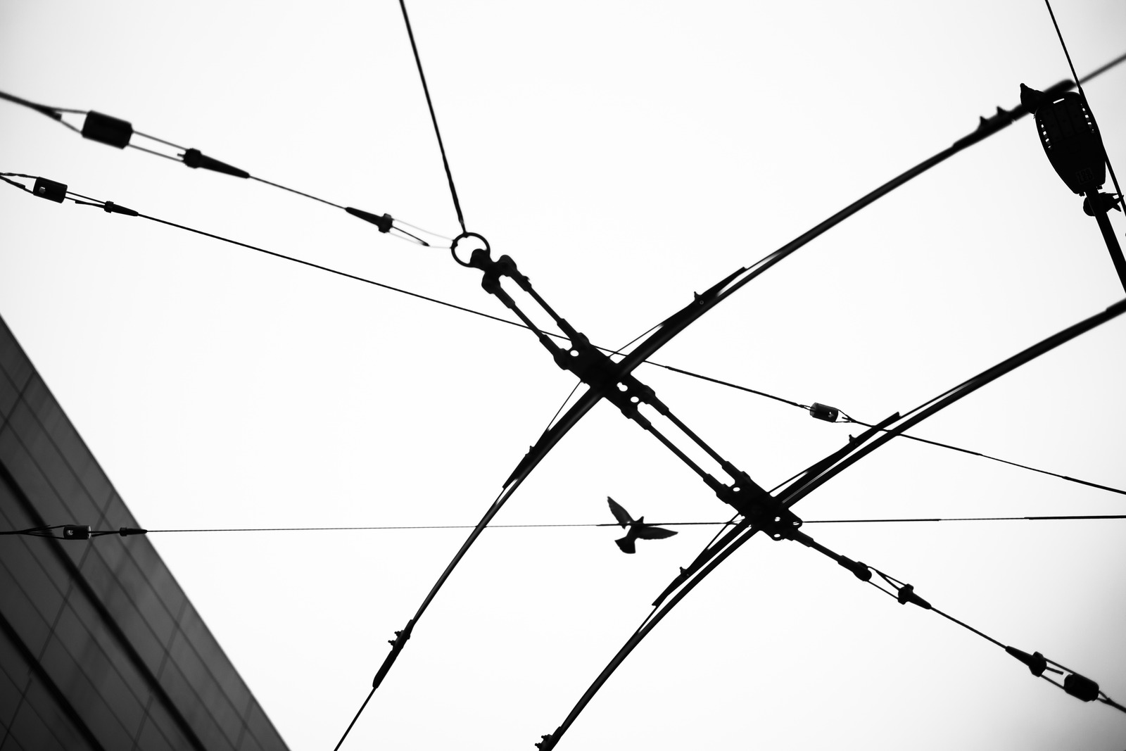 Urban Symphony in Silhouette