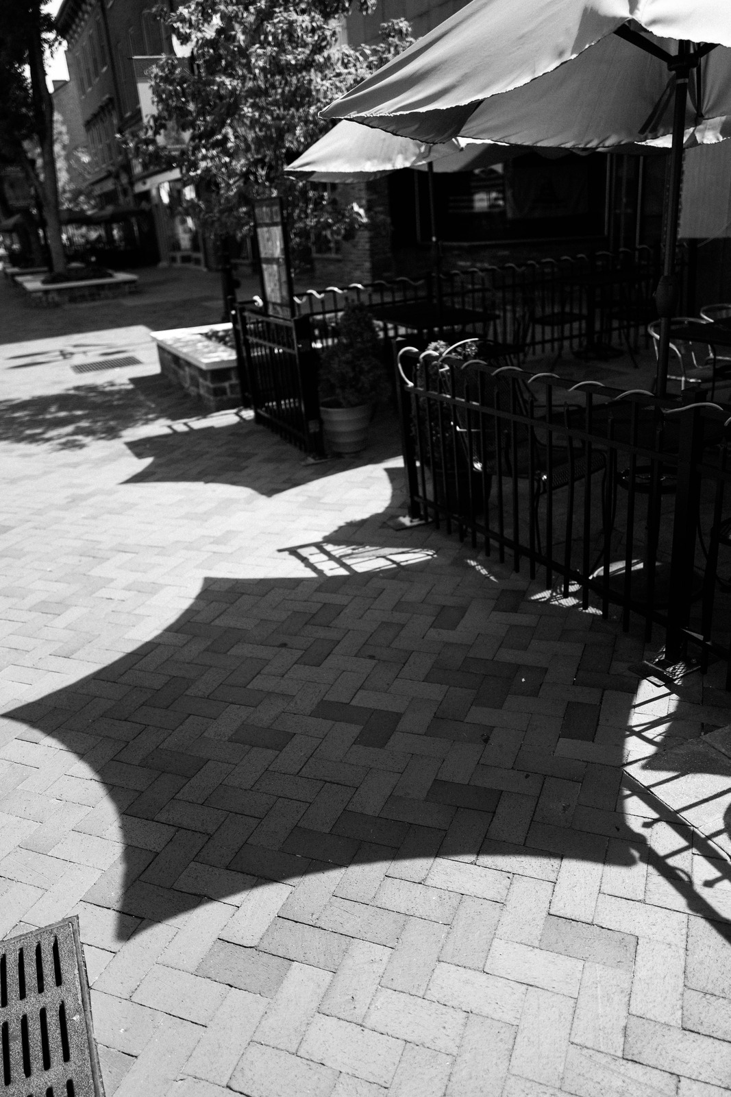 Shadows on Cobblestones