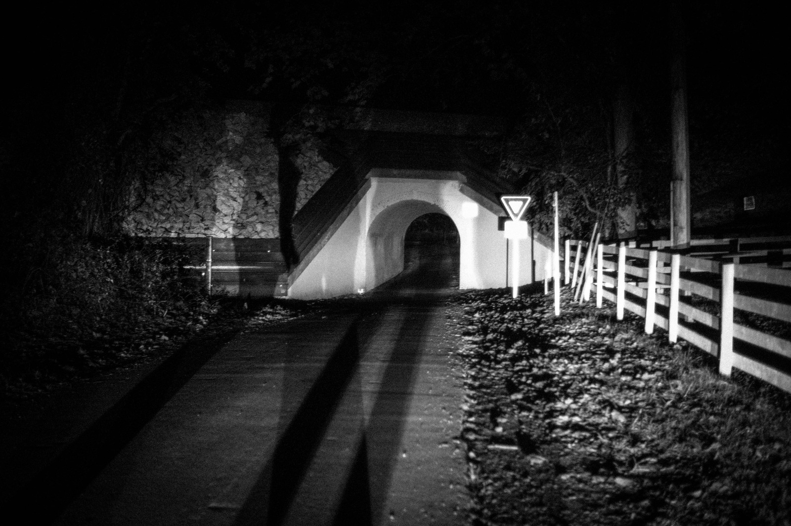 Shadows of the Night