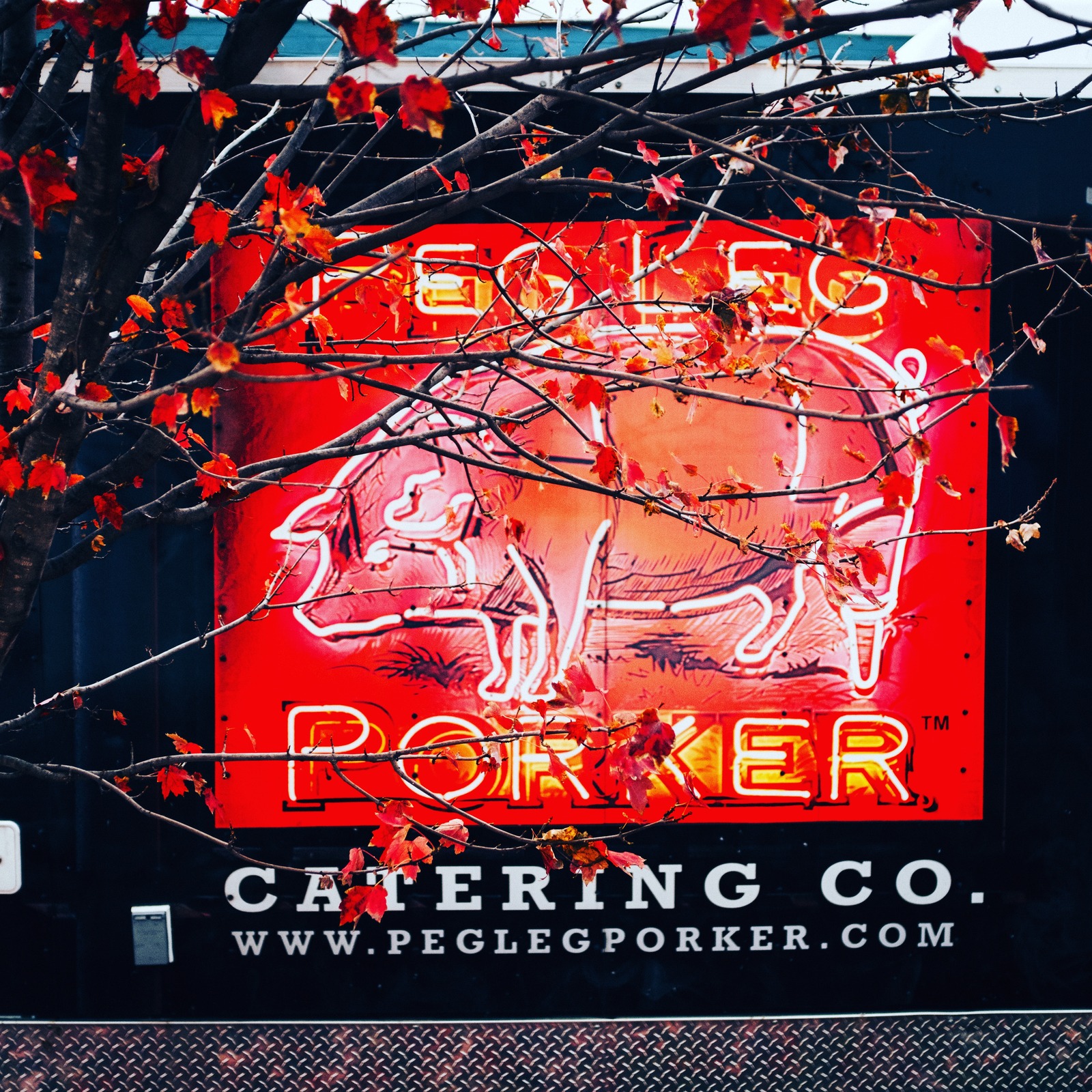 Neon Culinary Delight