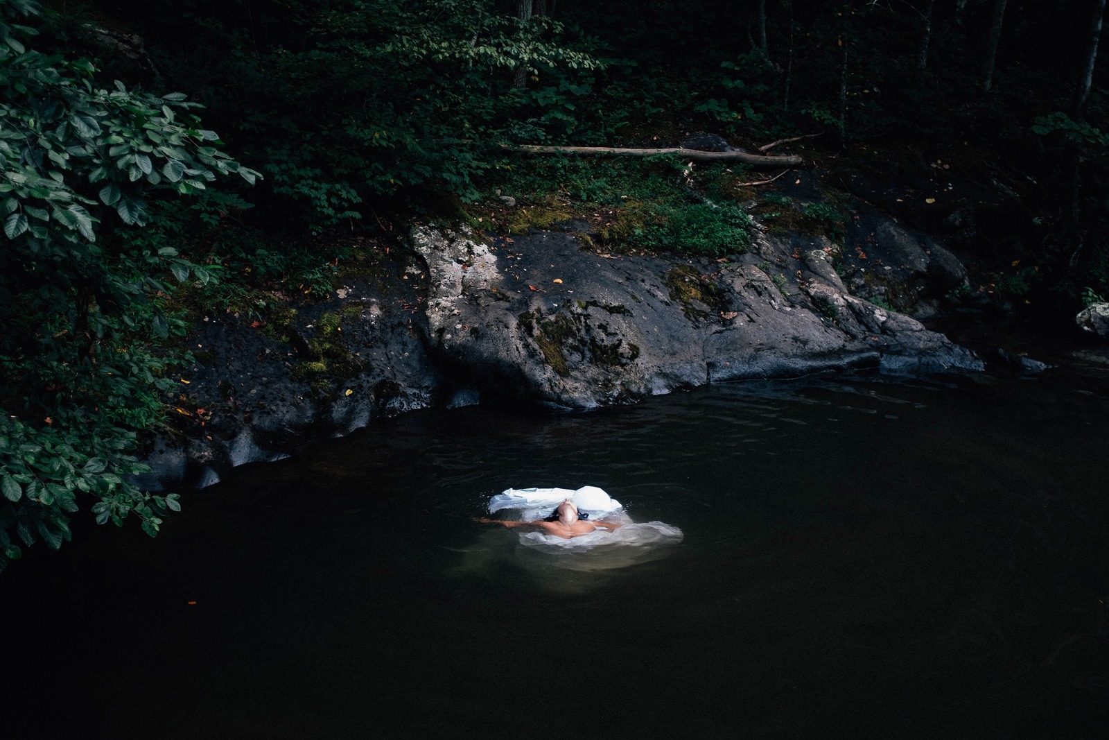 Serenity in Stillness