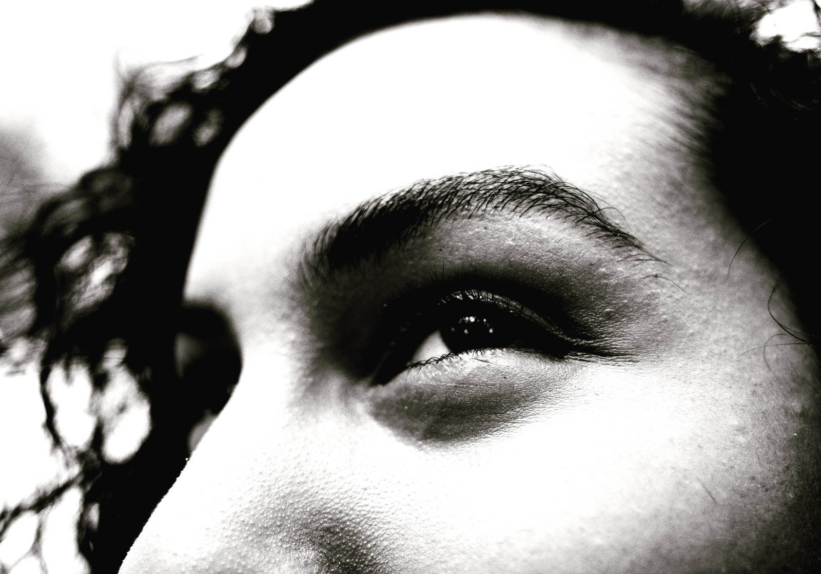 Gaze of Contemplation