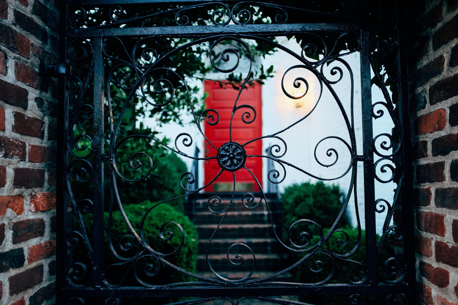 Whispers of Elegance