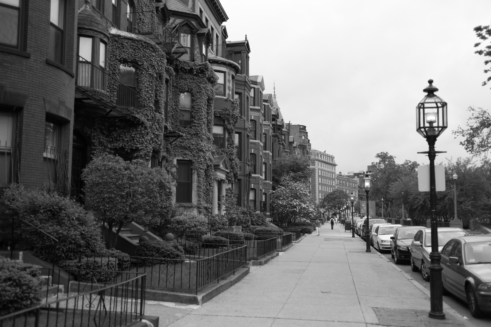 Urban Elegance in Monochrome