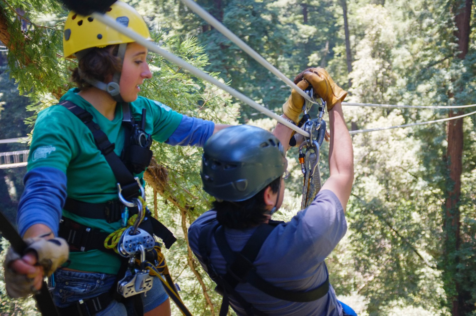 Adventure in the Canopy
