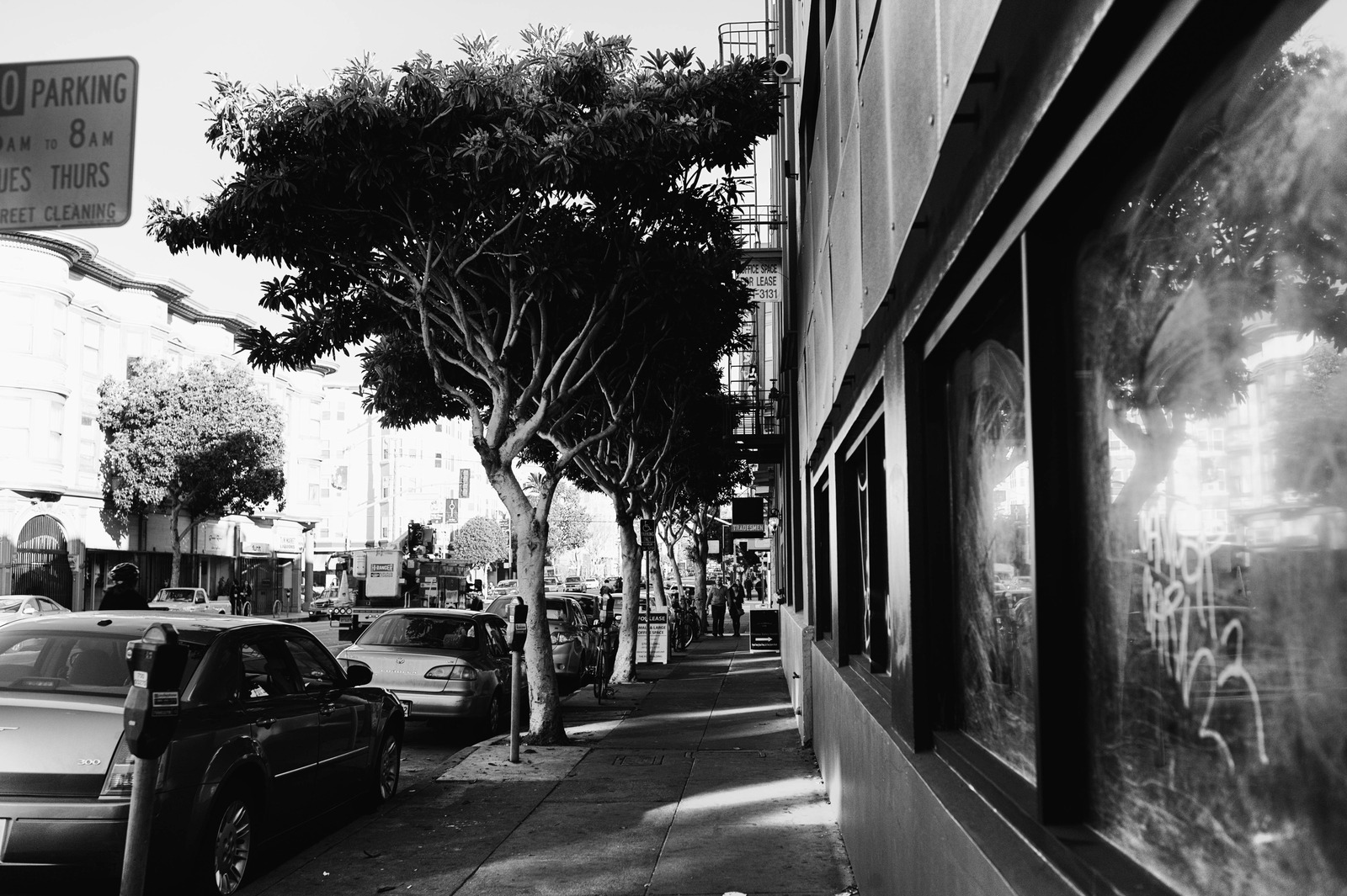 Urban Calm in Monochrome