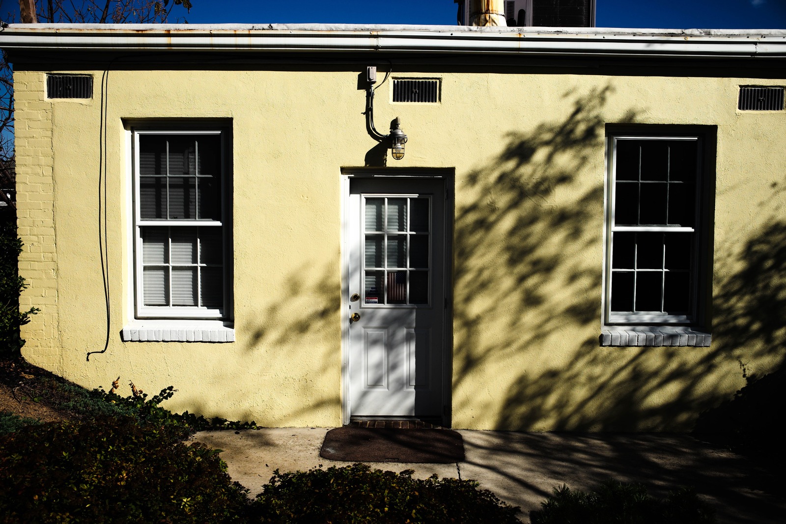 Whispers of Sunshine