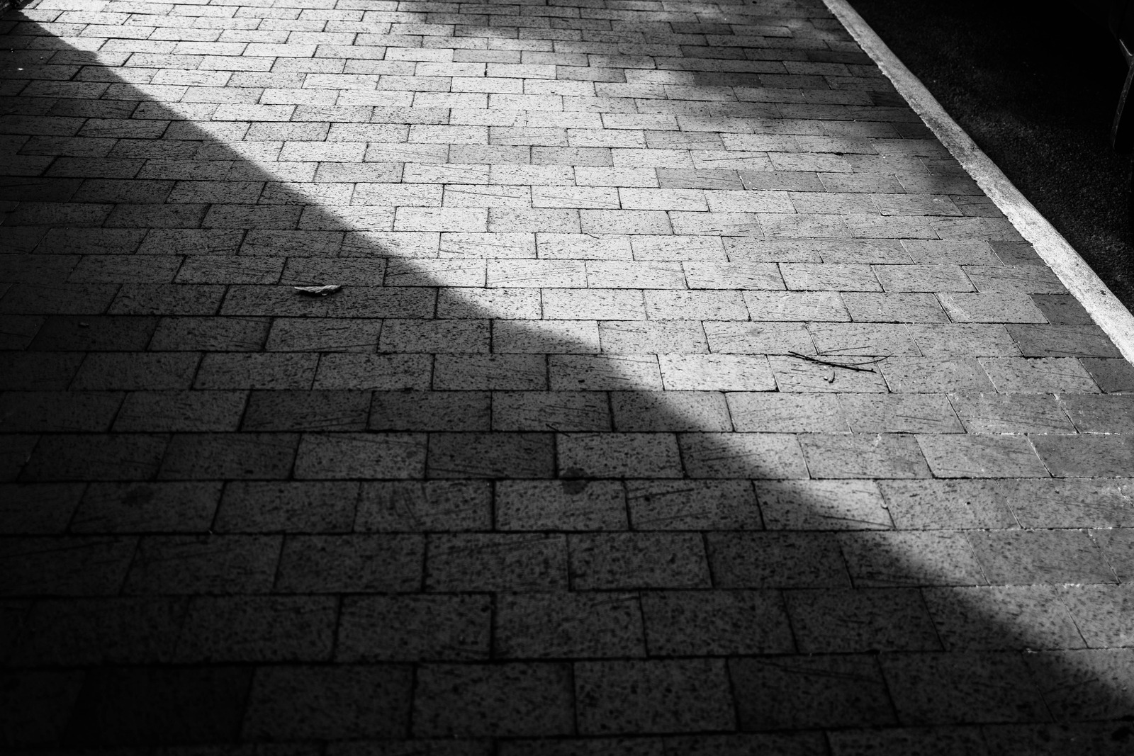 Shadows on Paved Path