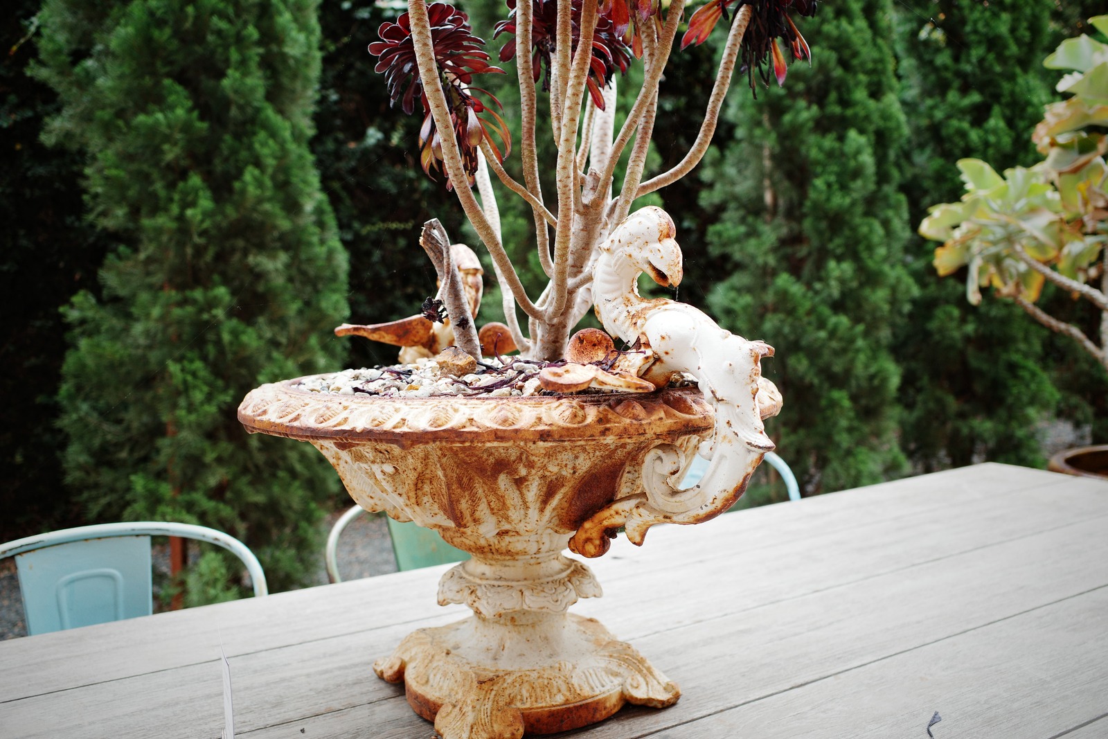 Rustic Charm of Nature