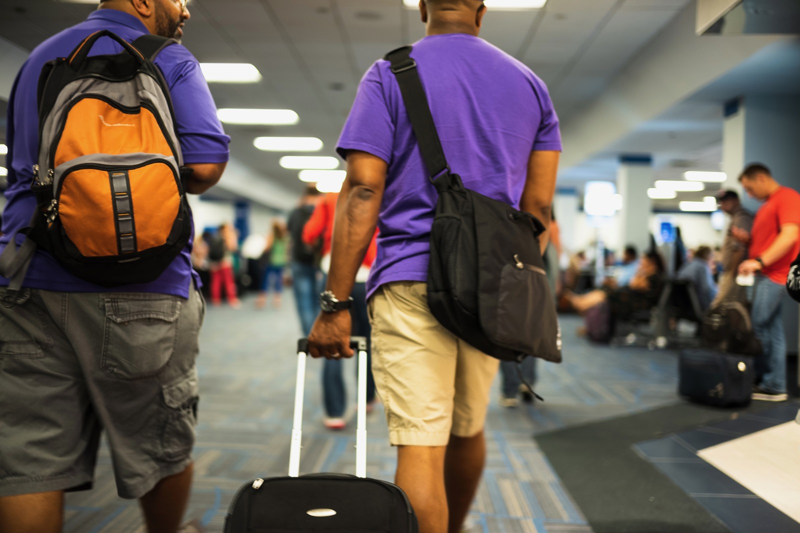 Journey Through the Terminal