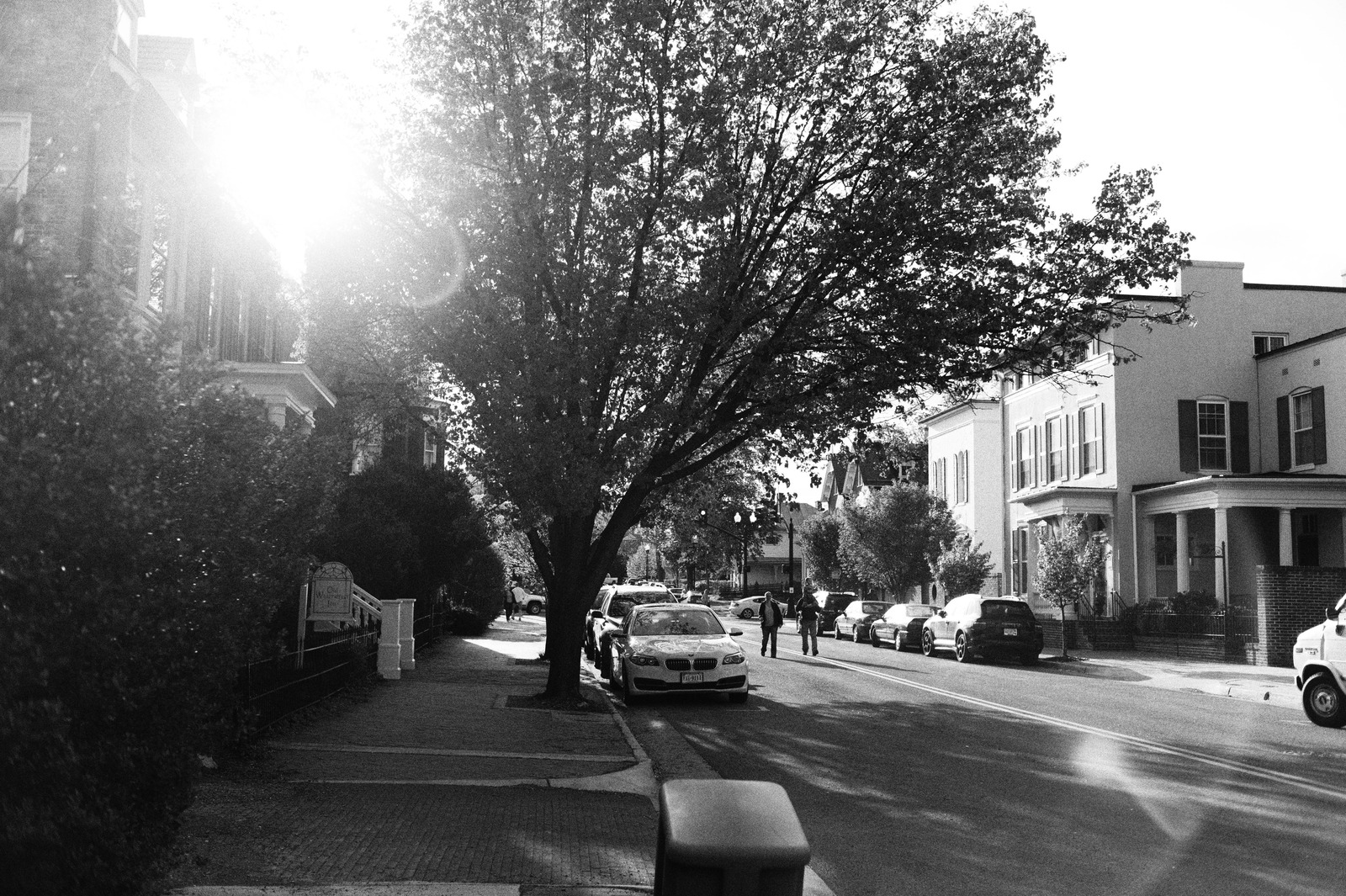 Quiet Street in Silhouette