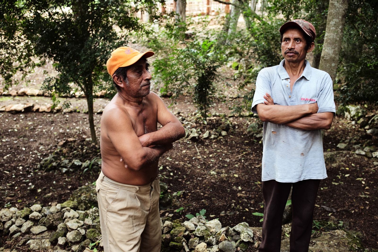 Contemplation in Nature