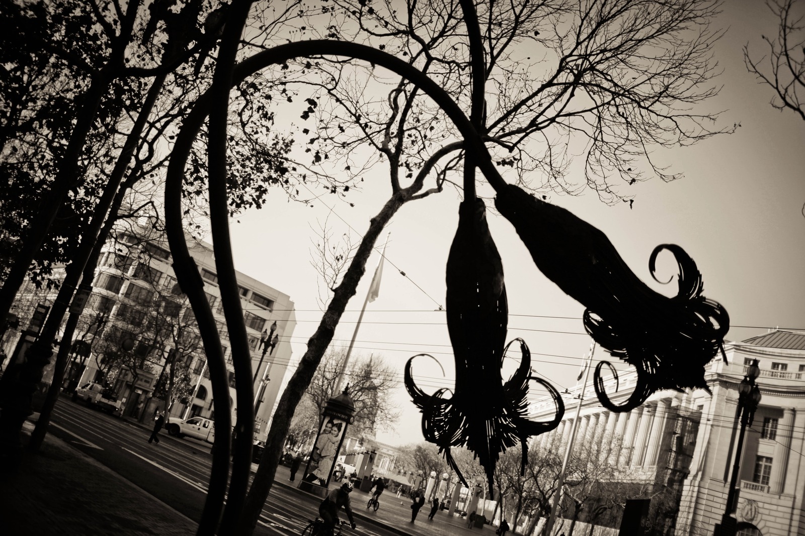 Silhouetted Elegance