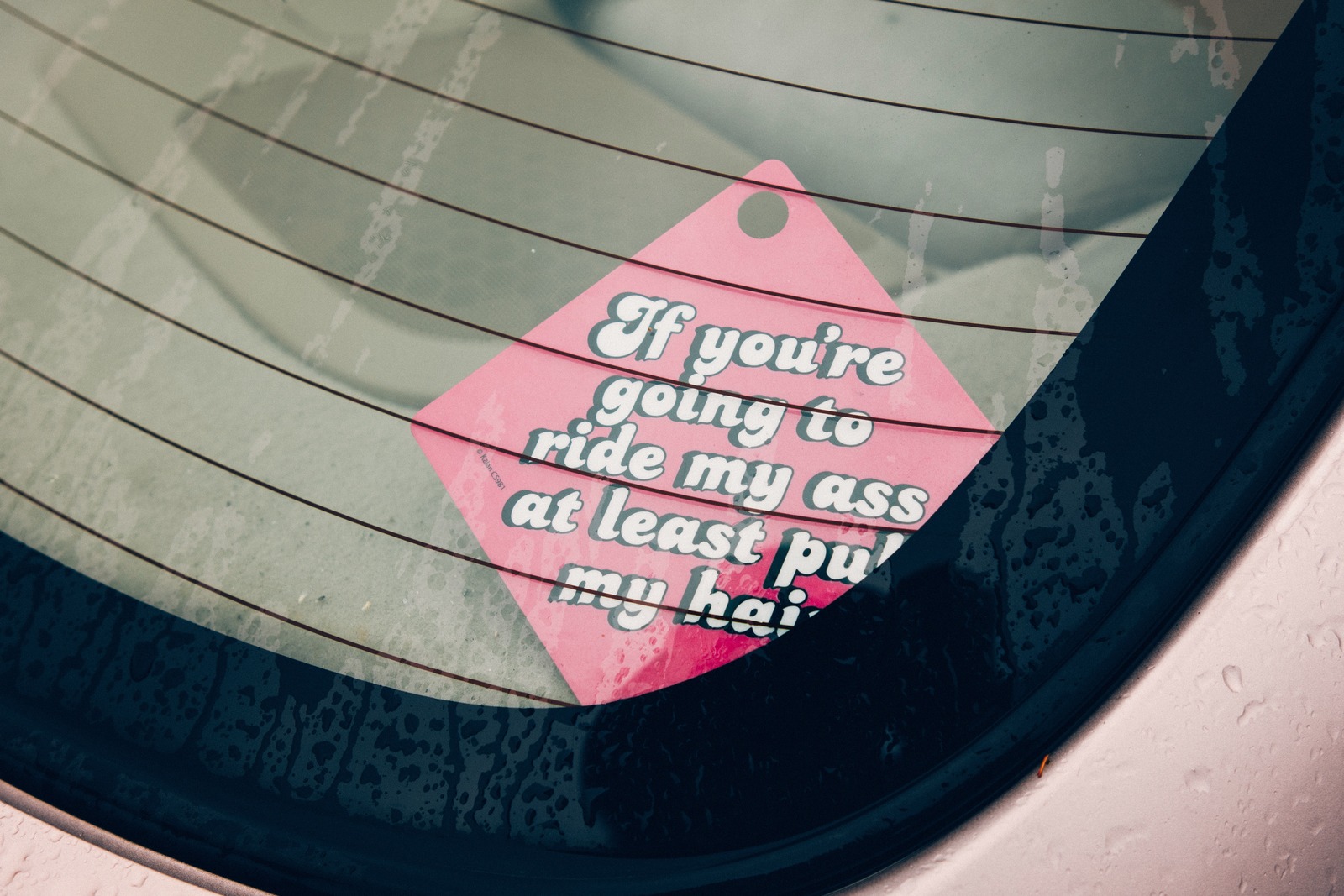 Witty Roadside Commentary