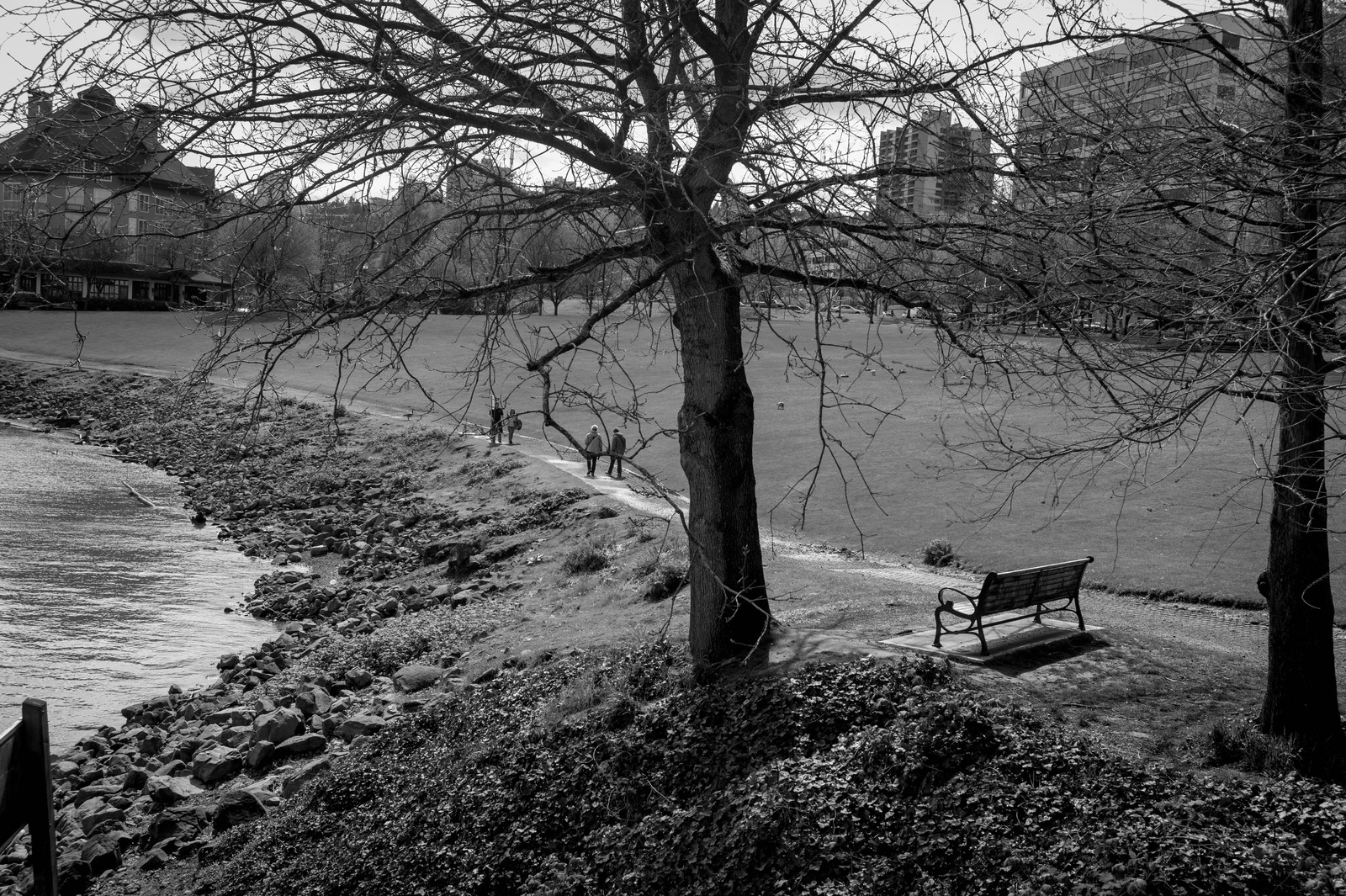 Solitude by the Water