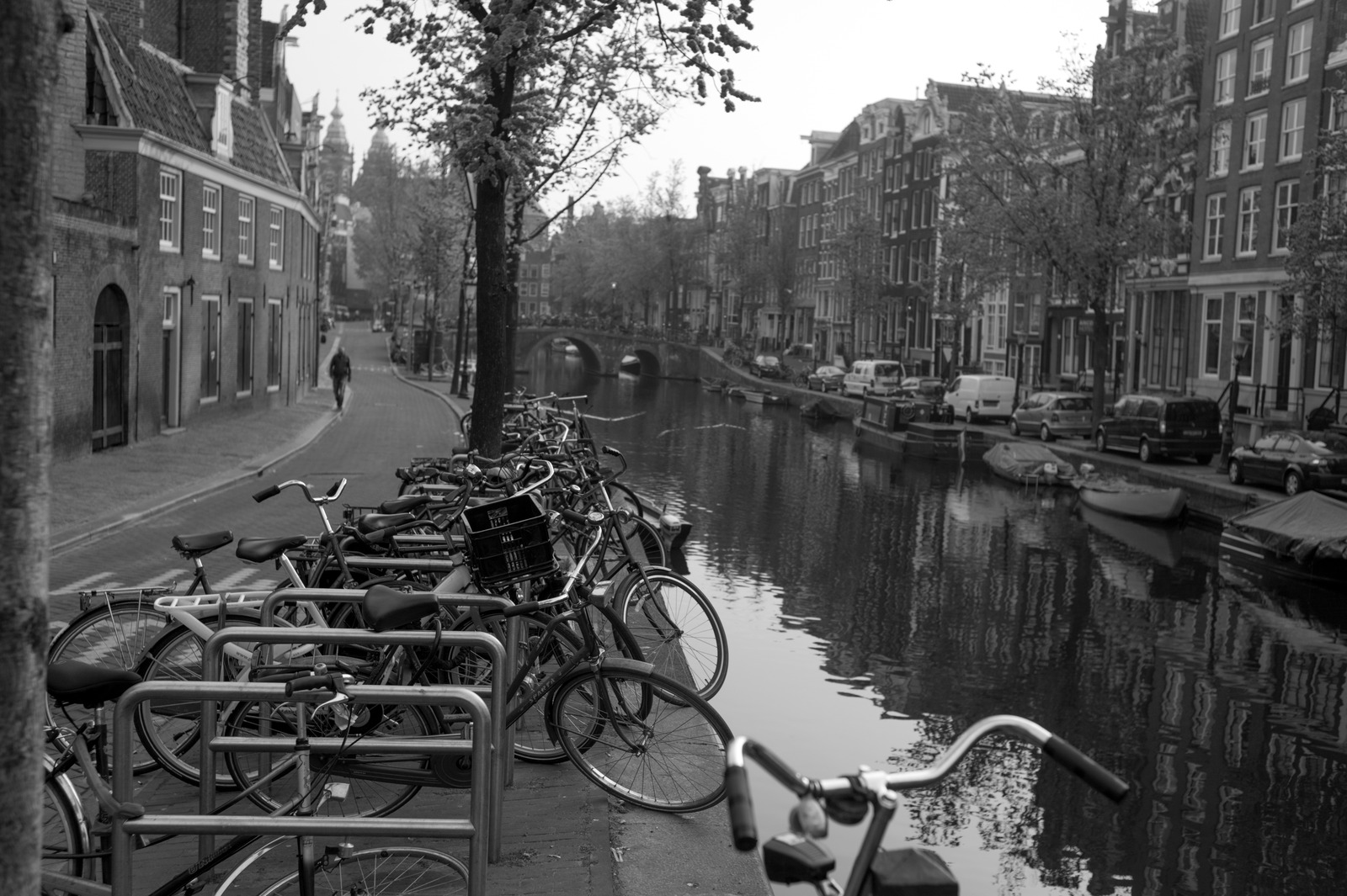 Stillness by the Canal