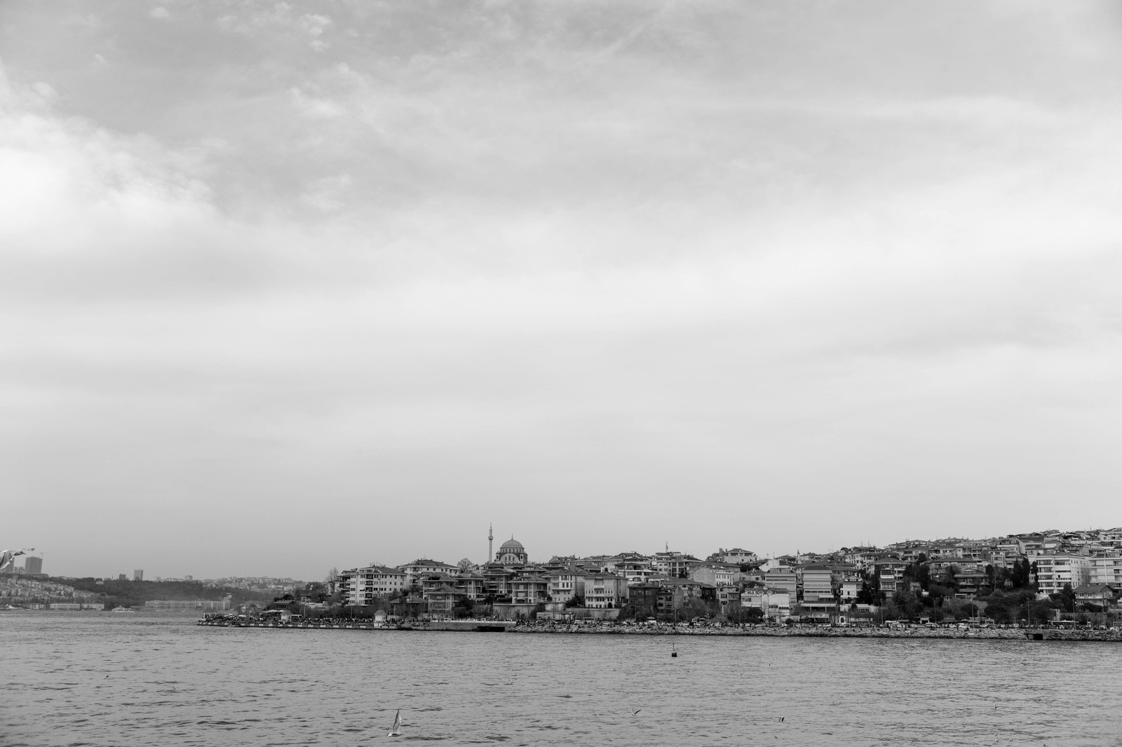 Monochrome Serenity by the Shore
