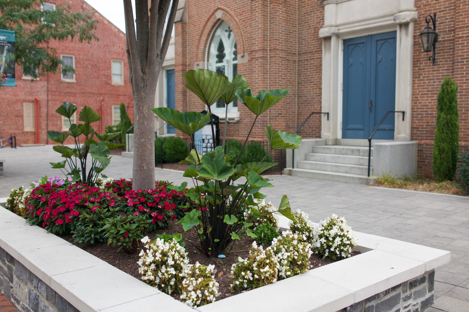 Urban Flora in Serenity