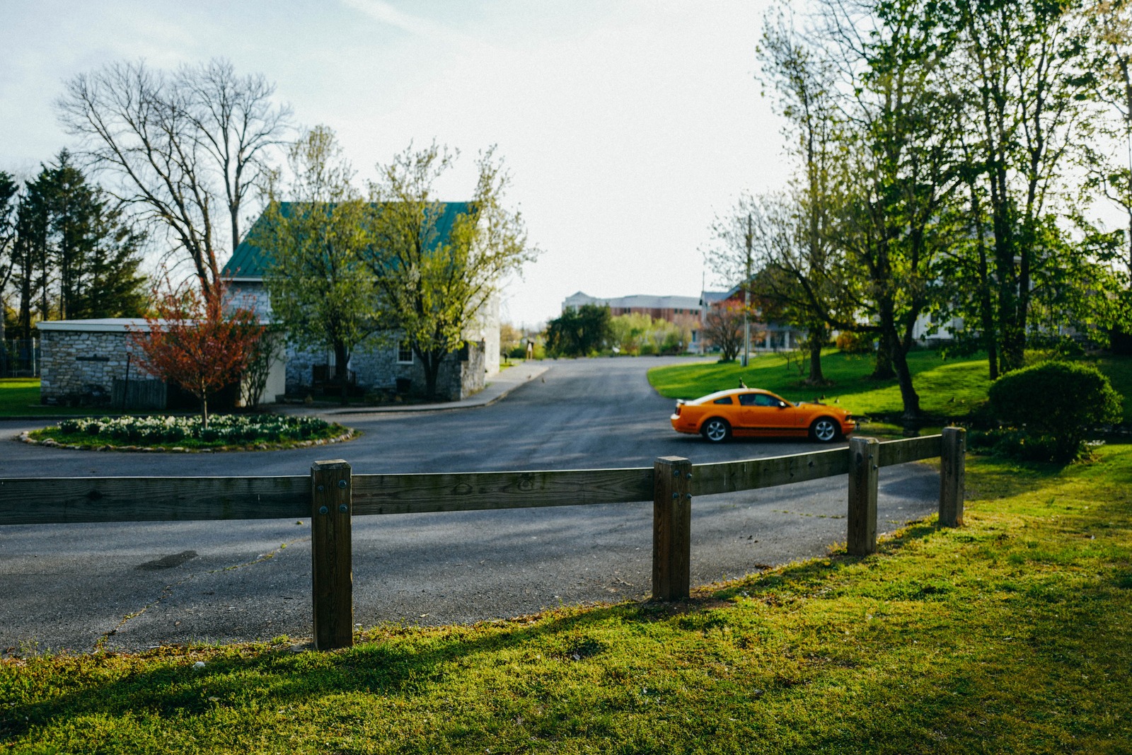 Vibrant Shift in Suburbia