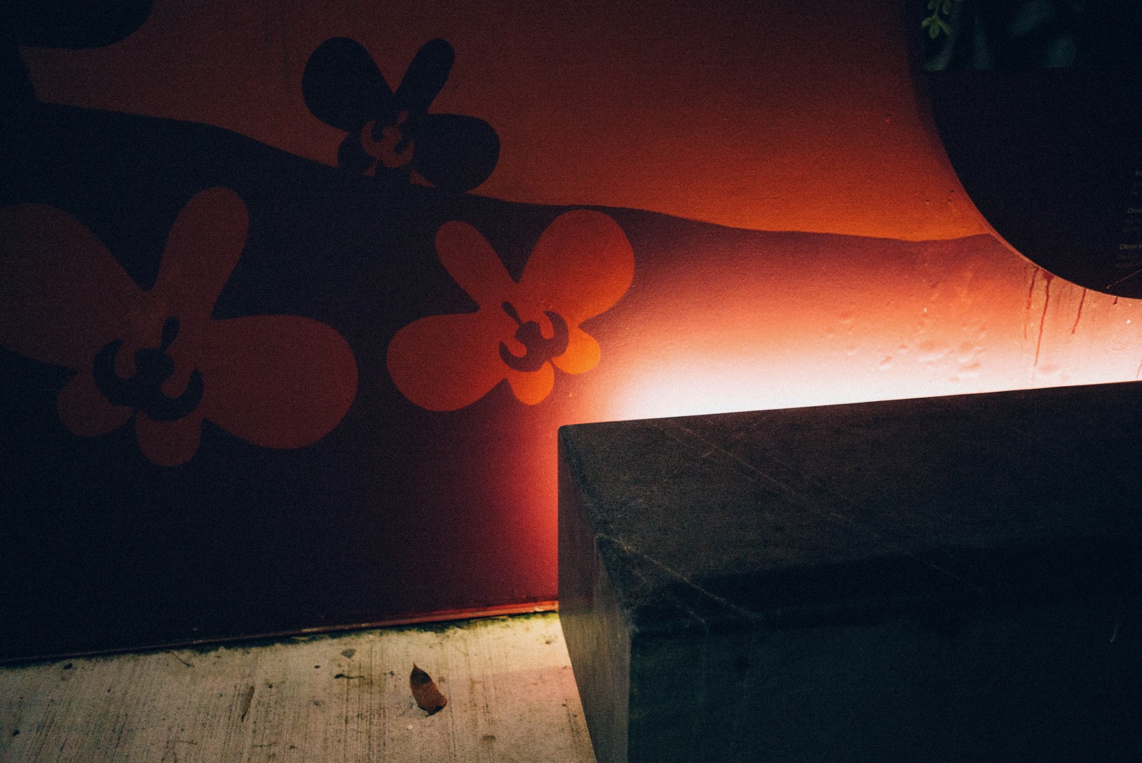 Whispers of Color and Shadow