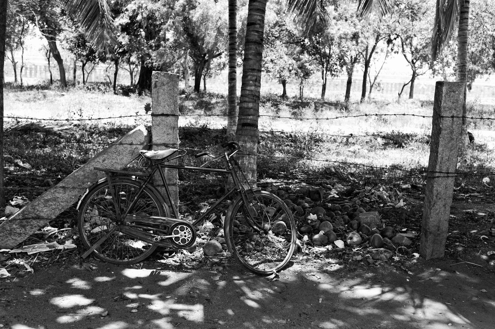 Whispers of Abandonment