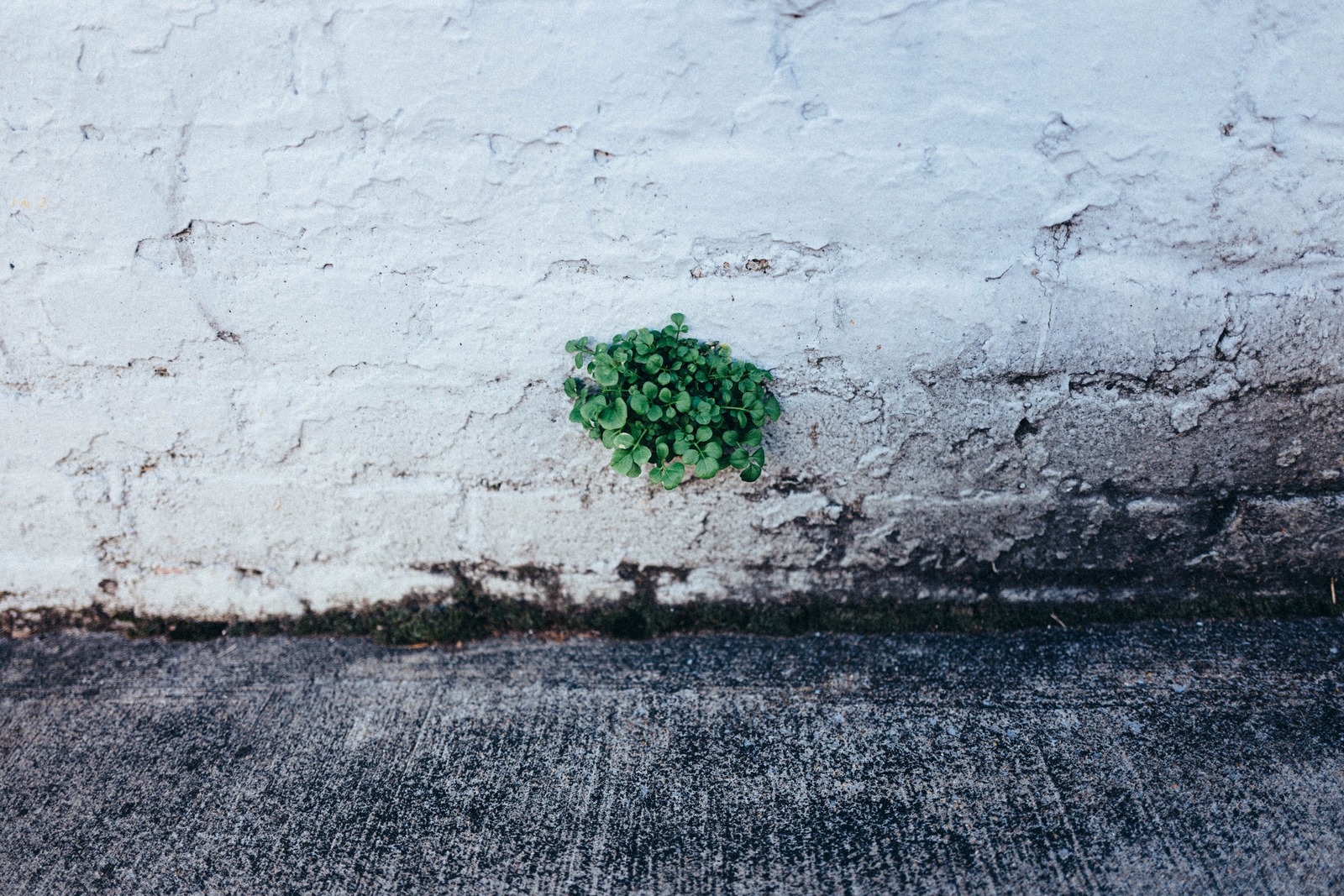 Resilience Against the Wall