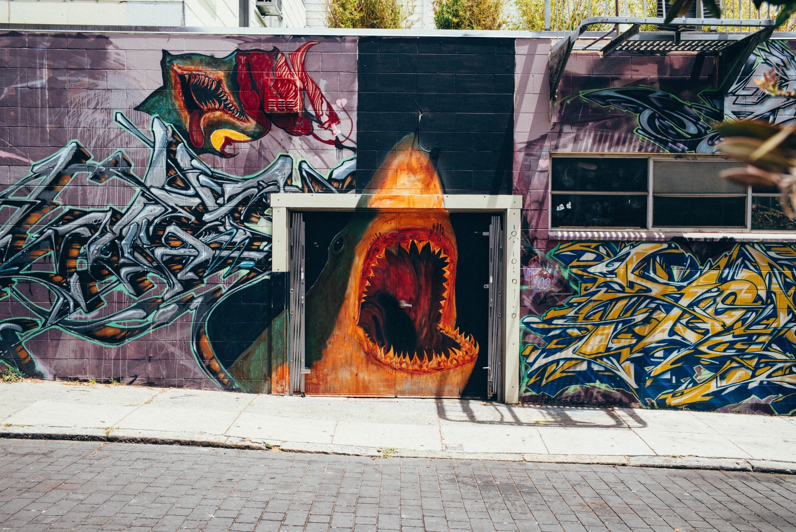 Urban Jungle of Vibrant Art