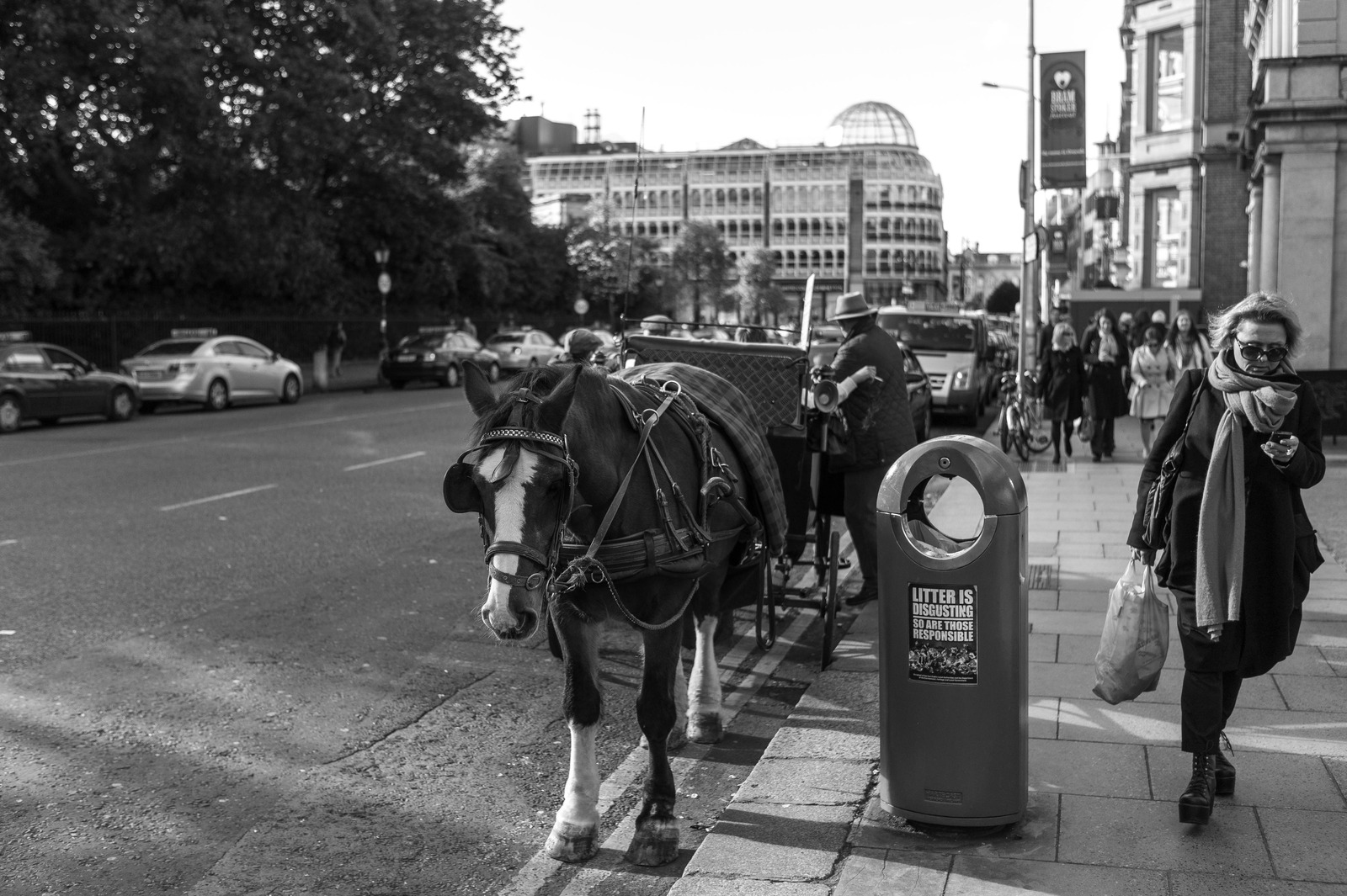 Urban Contrast: Horse and City