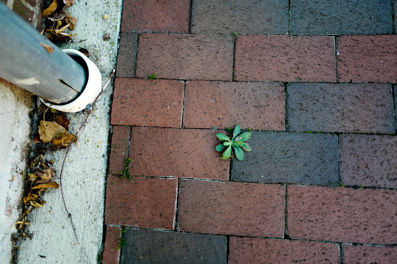 Resilience in the Concrete