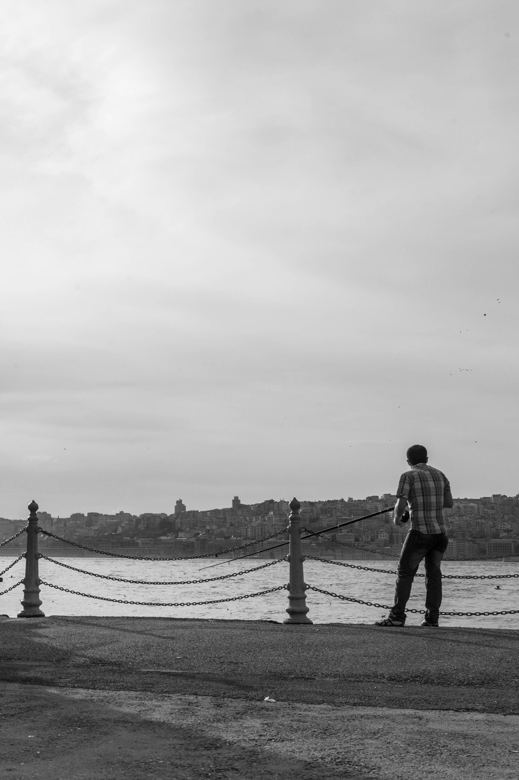 Contemplation by the Water