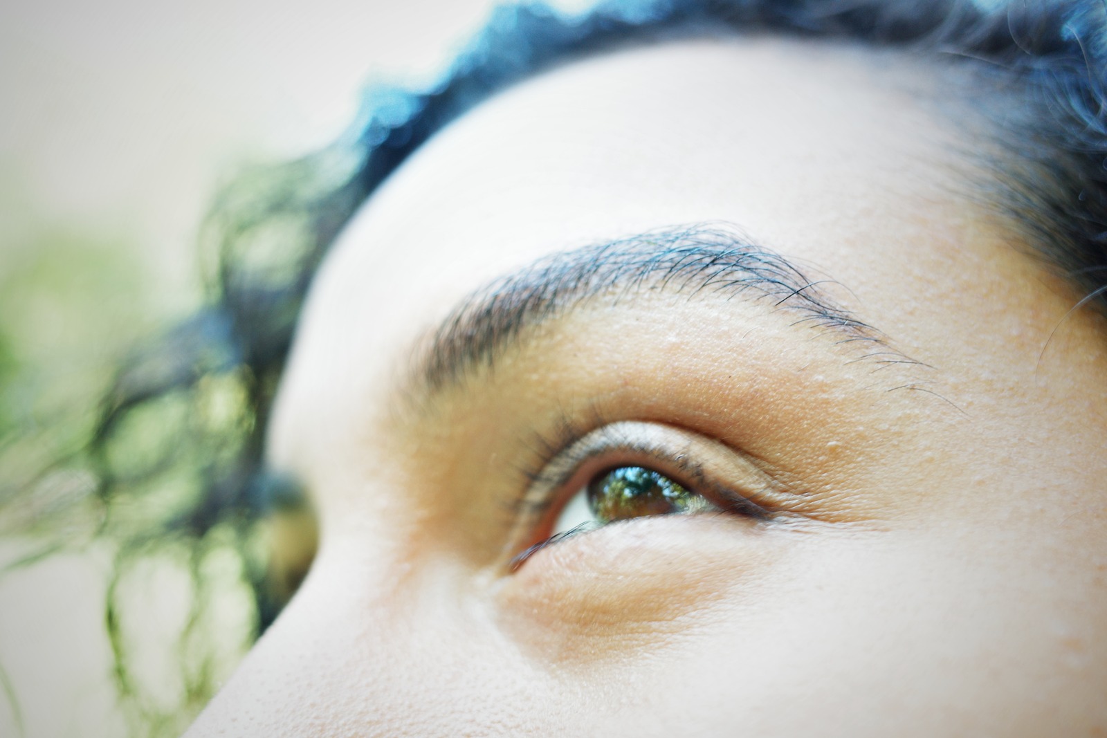 Glimpse of Reflection