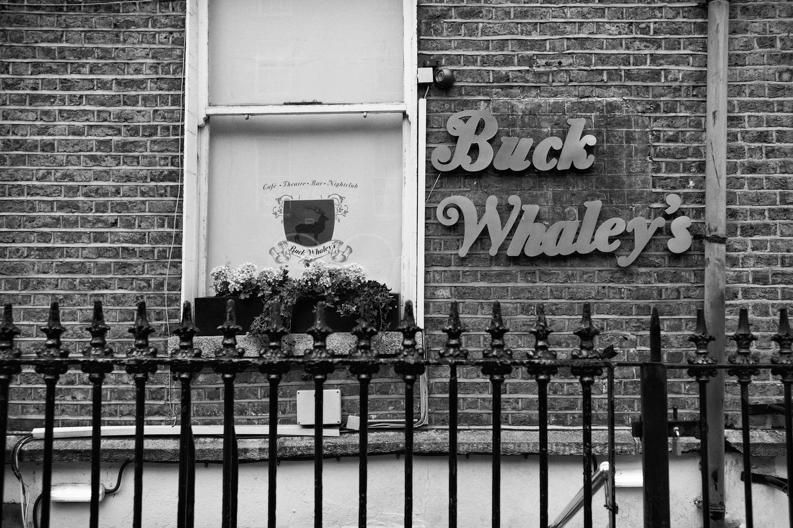 Urban Echoes of Whaley's