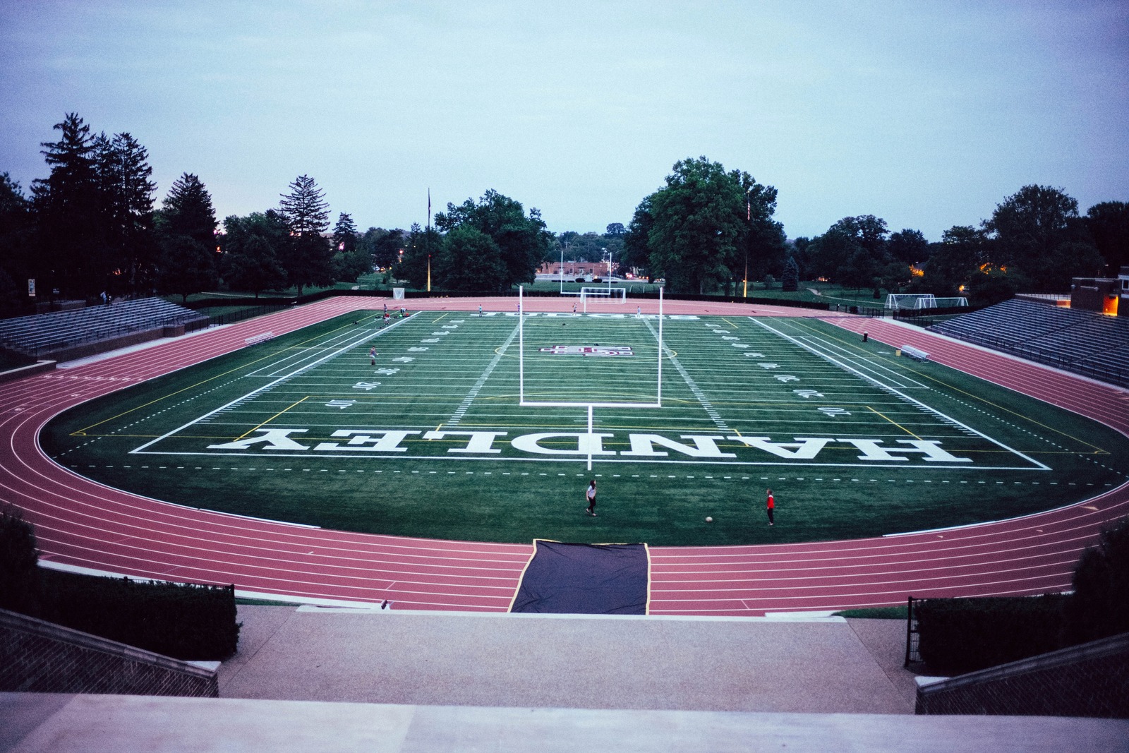 Evening on the Field