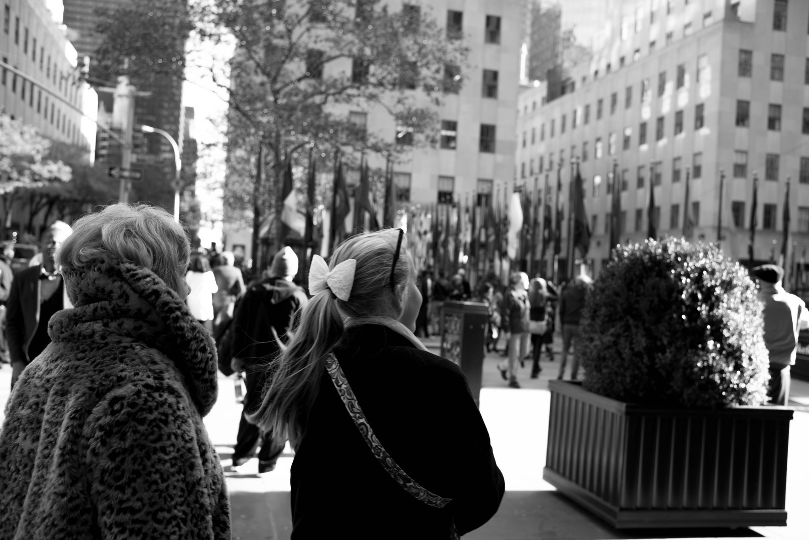 A Moment in Reflection