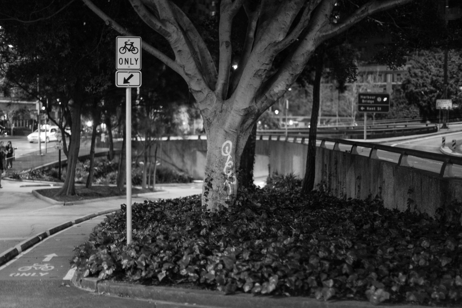 Urban Nightscape Unveiled