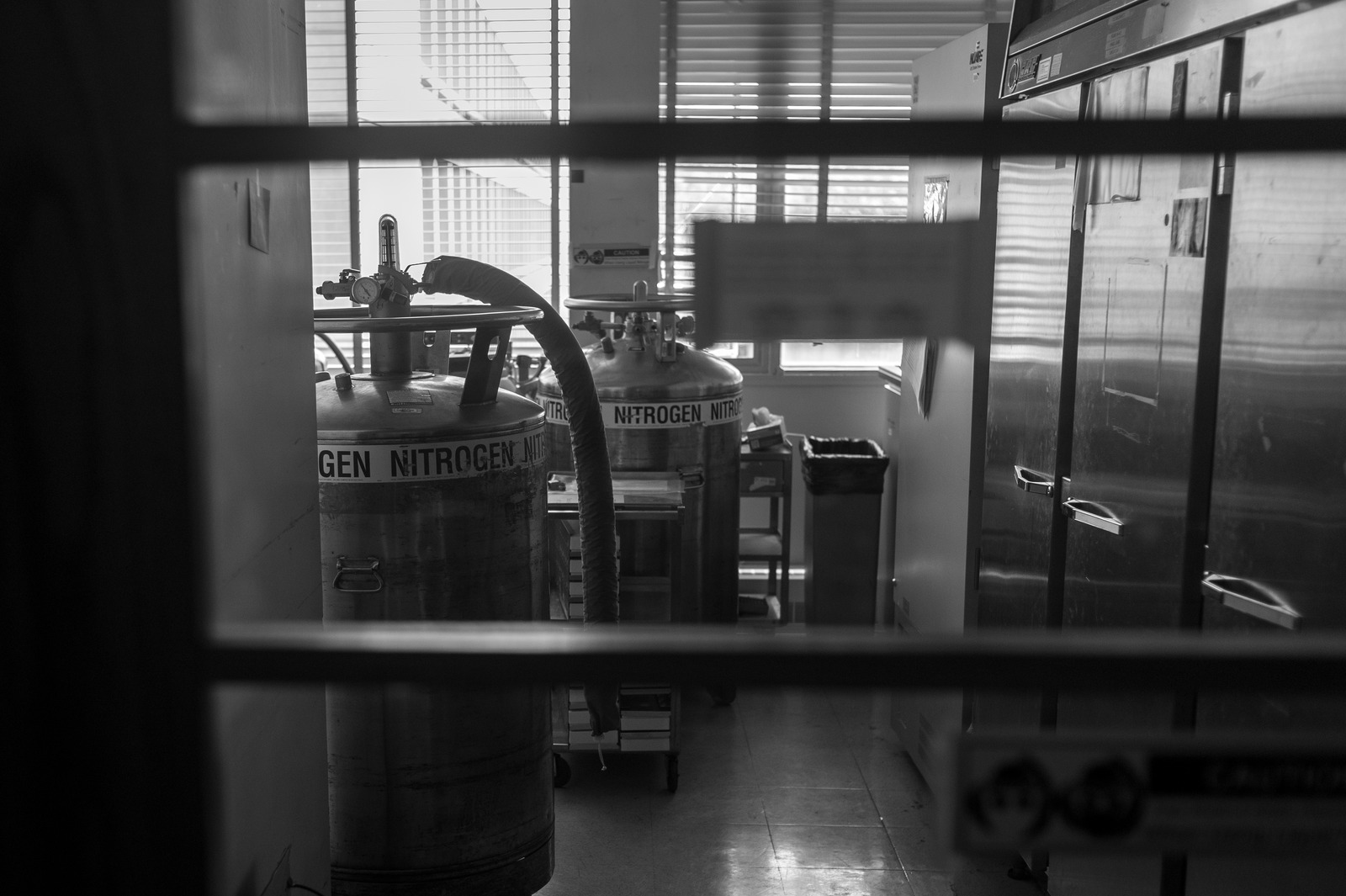 Silent Laboratory View