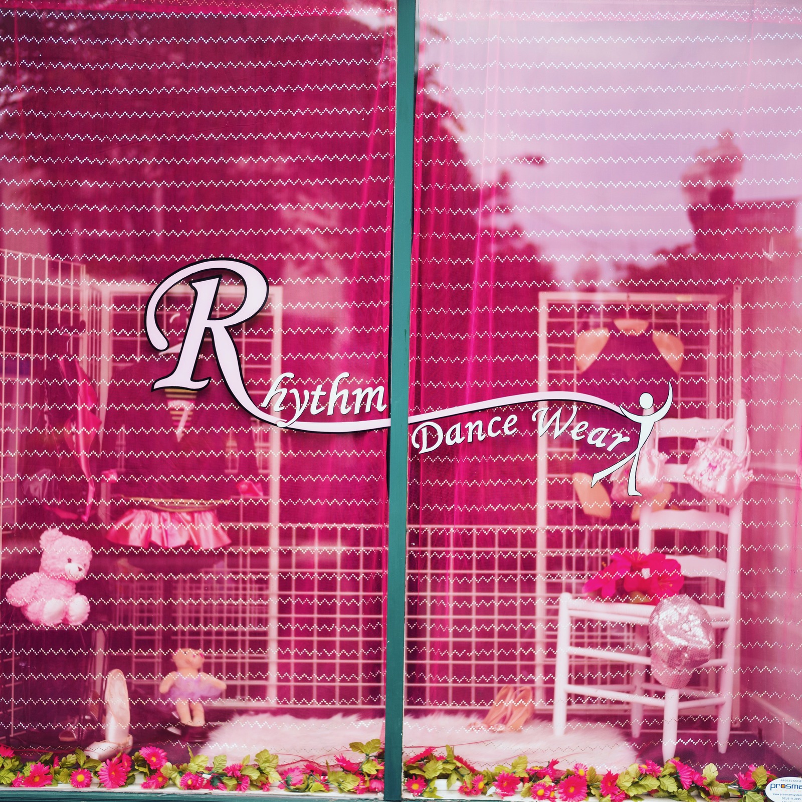 Dance Dreams Unveiled