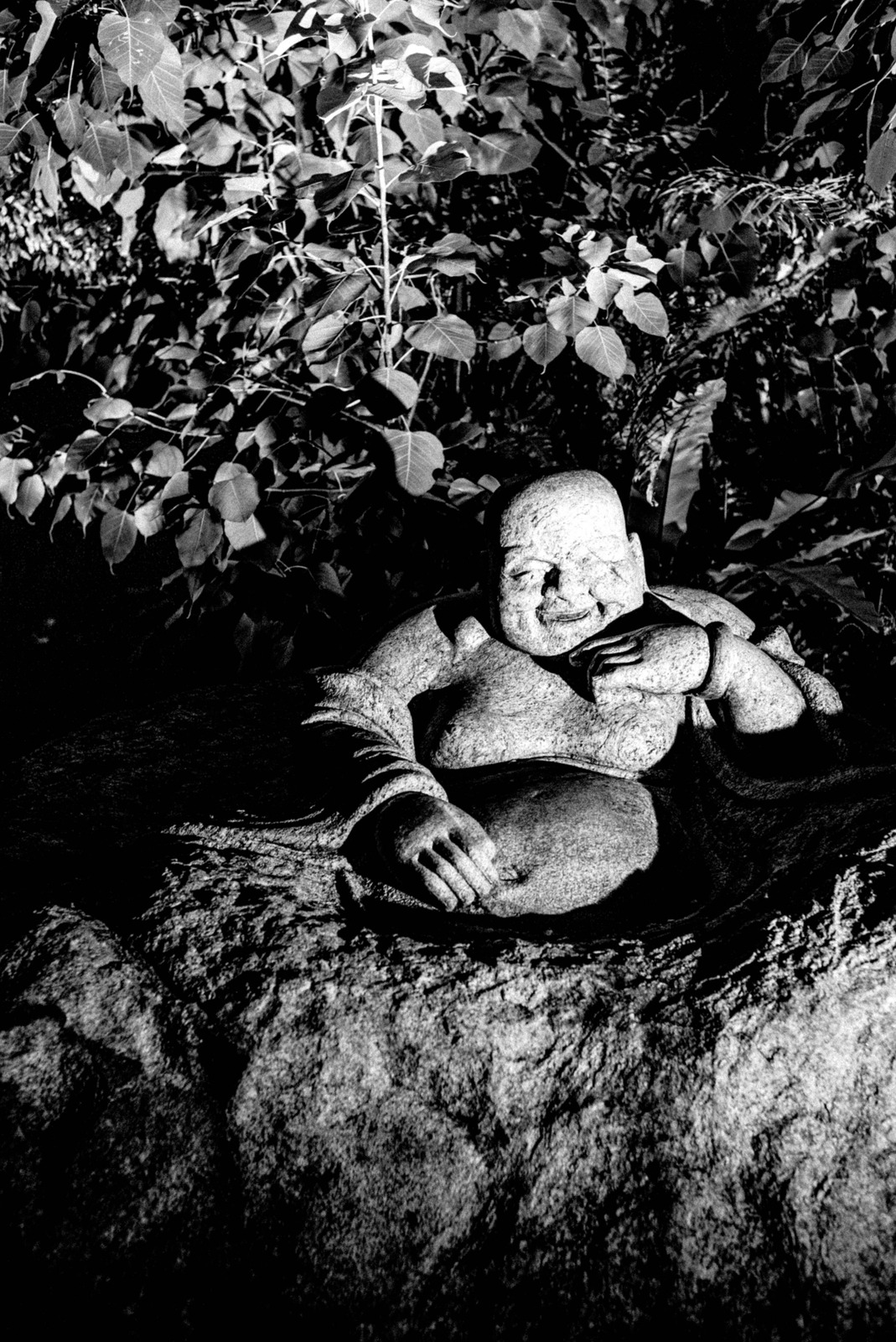 Serene Stone Presence