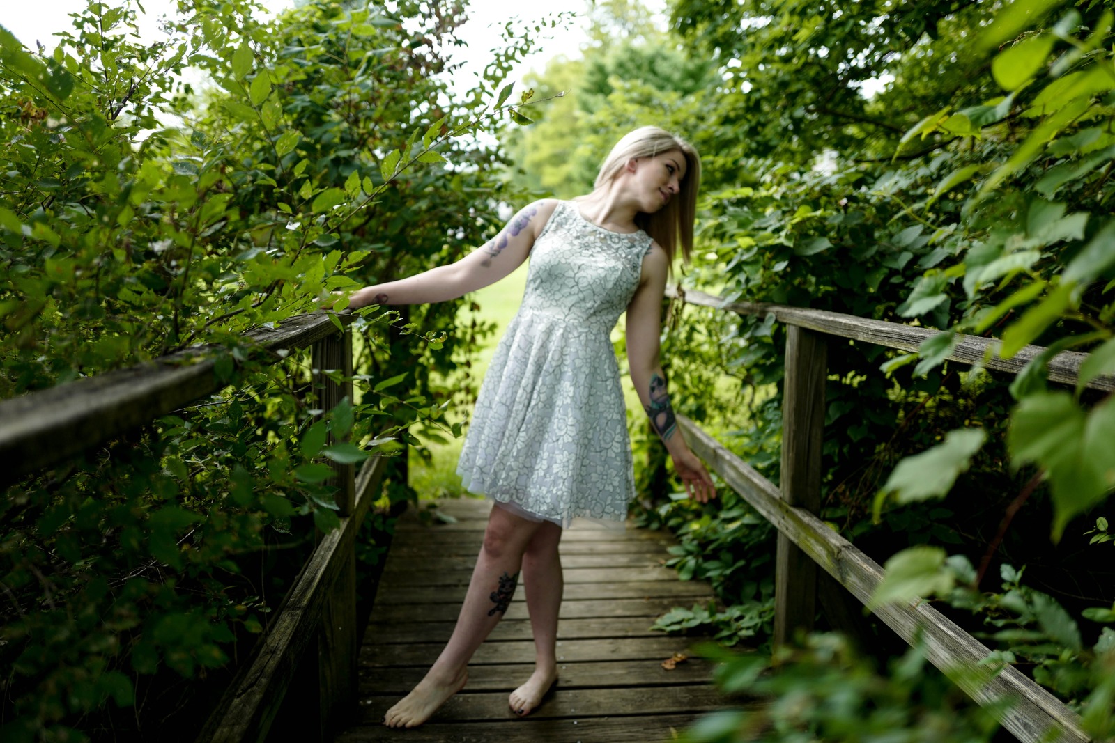 Whimsical Garden Reverie