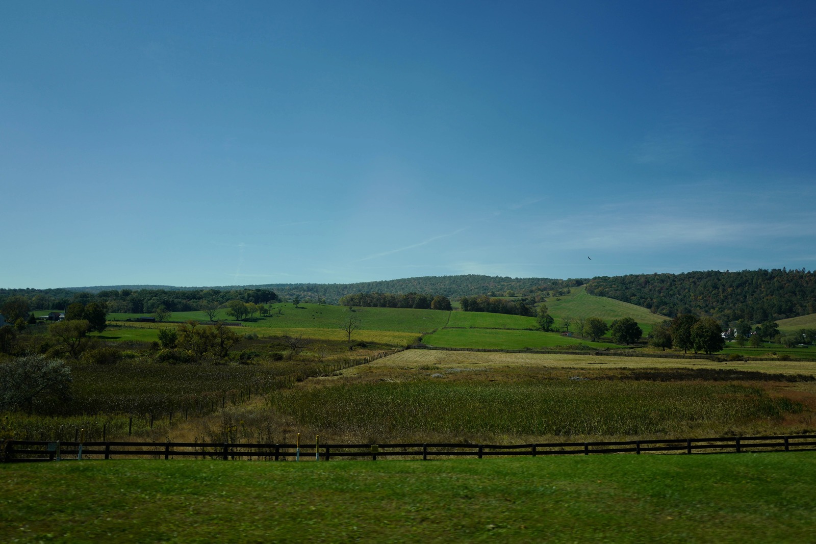 Serene Pastoral Landscape