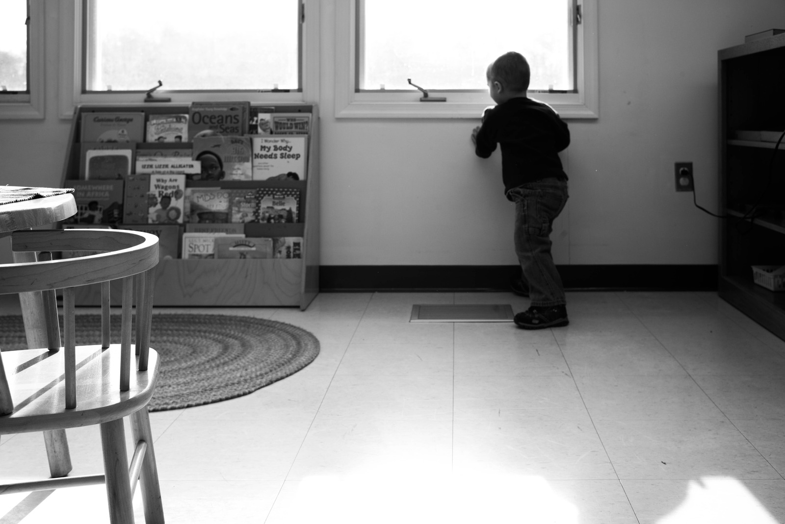 Wondering by the Window